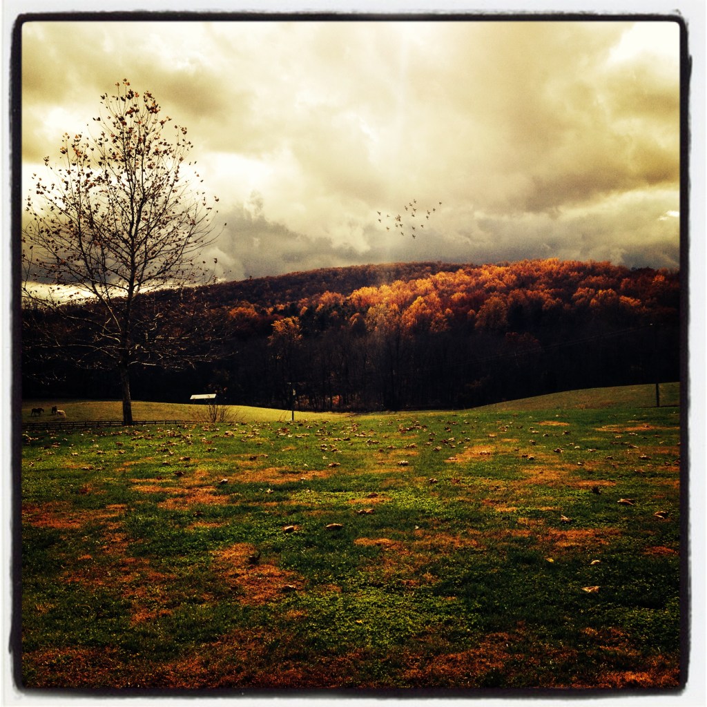 A fall view of Chicken Mountain, Orange, VA